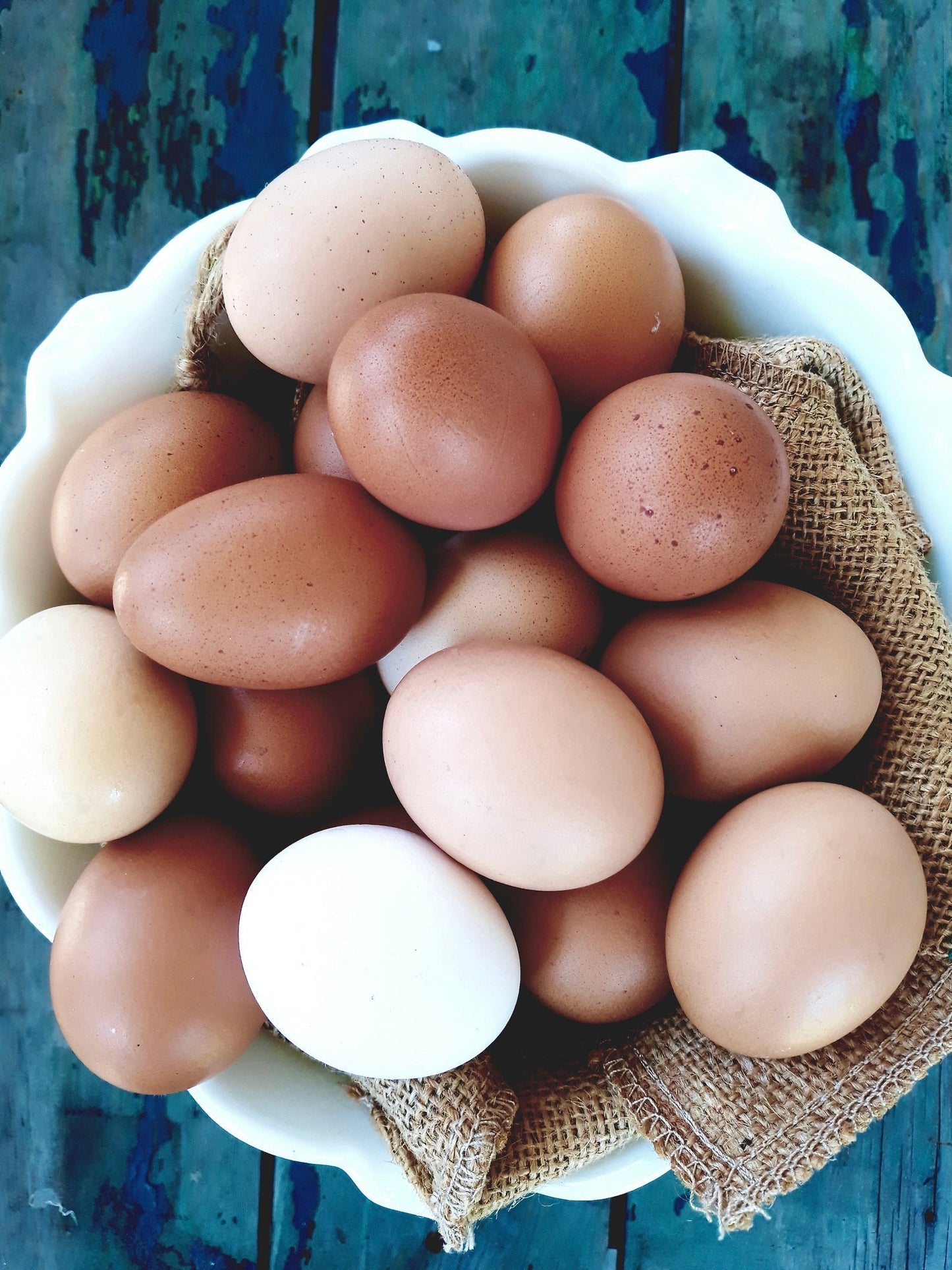 Pastured Soy & Corn Free Eggs