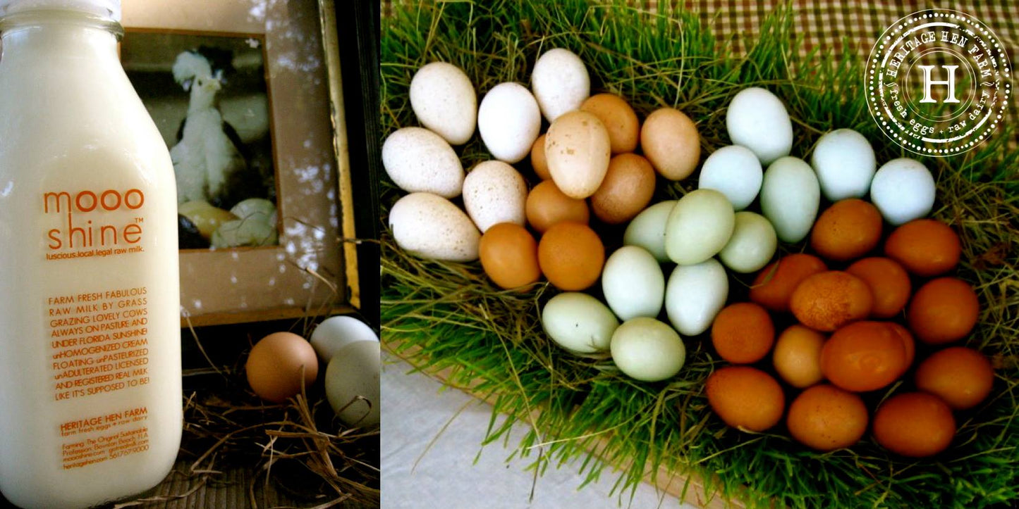 Pastured Soy Free Corn Free Eggs - 3DZ LIMIT, READ BELOW