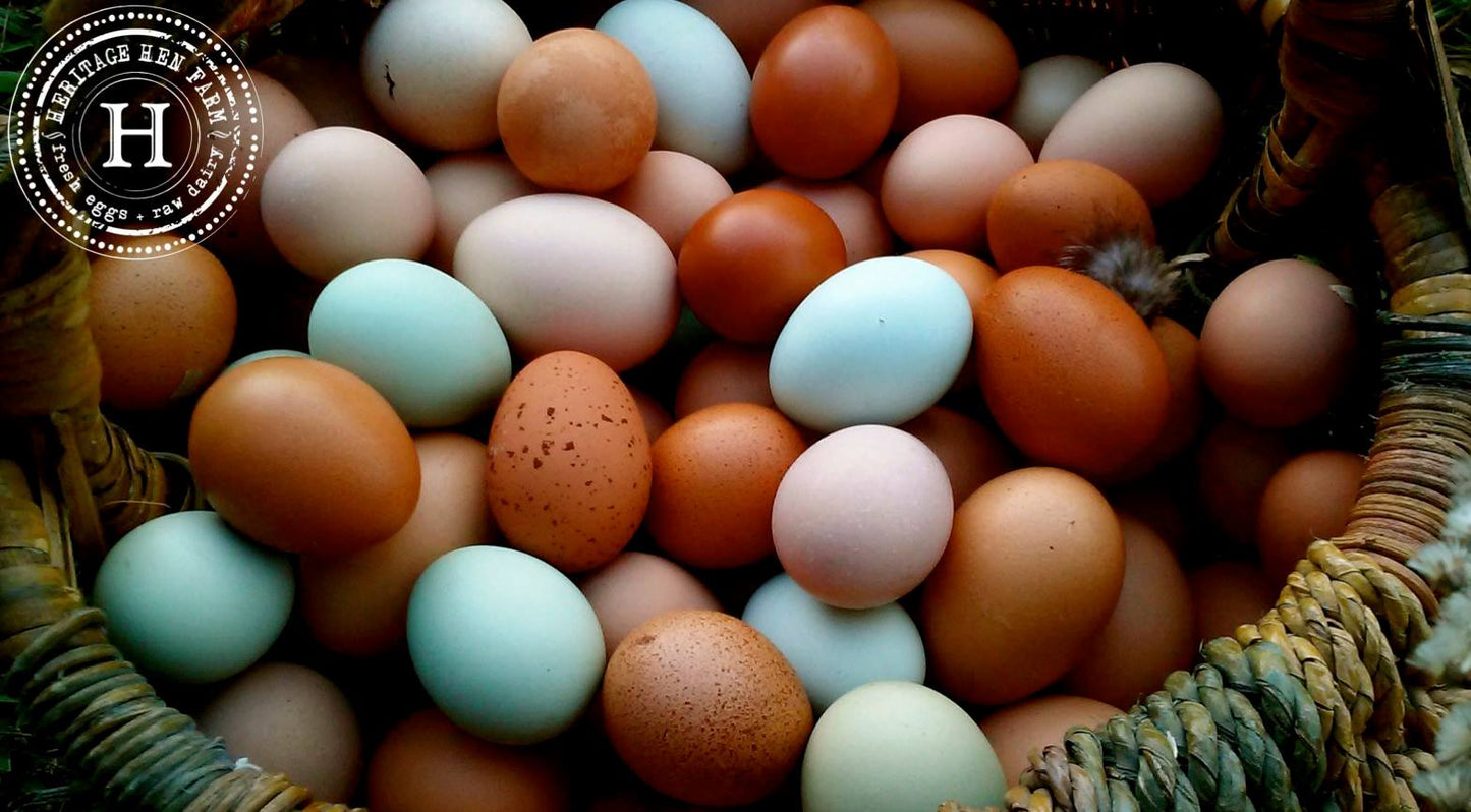 Pastured Soy Free Corn Free Eggs - 3DZ LIMIT, READ BELOW