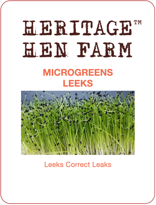 MicroGreens Leek