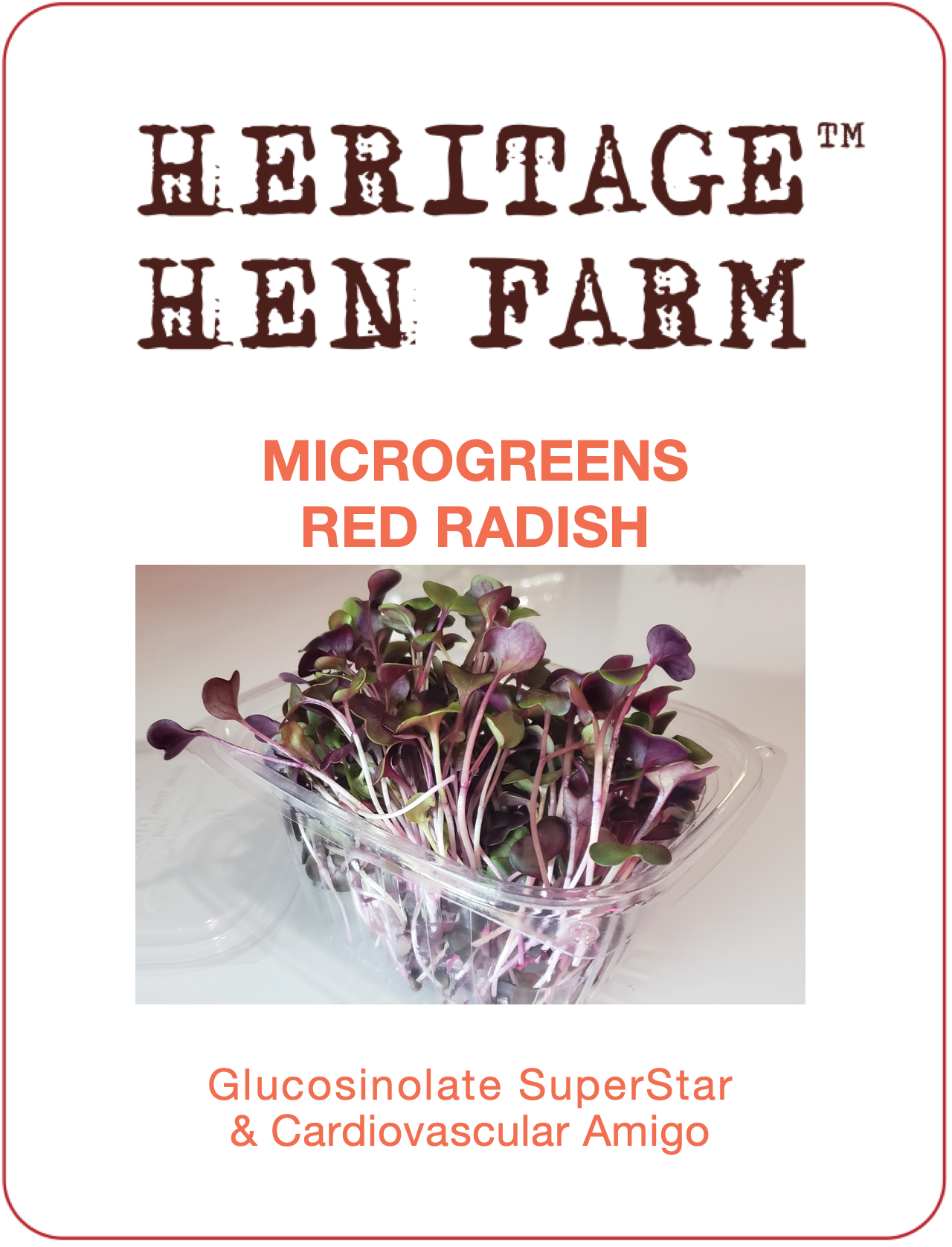 MicroGreens Radish