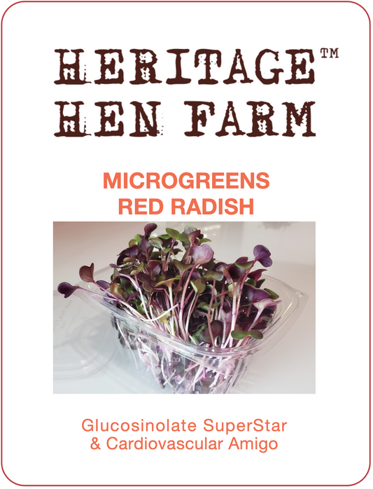 MicroGreens Red Radish & Daikon Mix