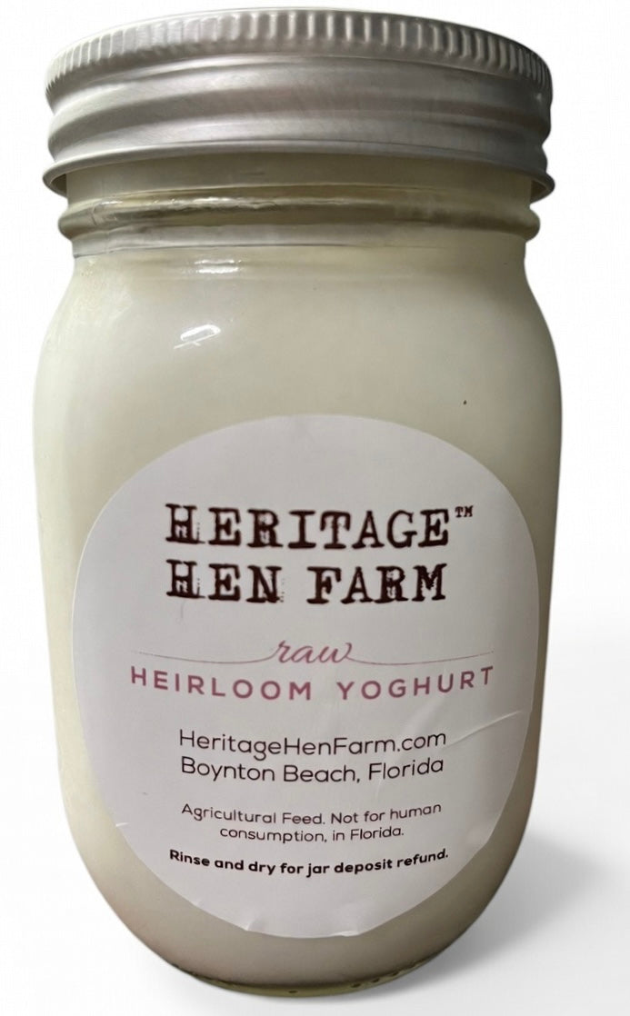 Raw Milk Heirloom Yoghurt