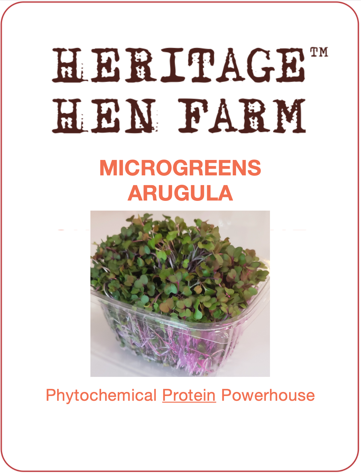 MicroGreens Arugula