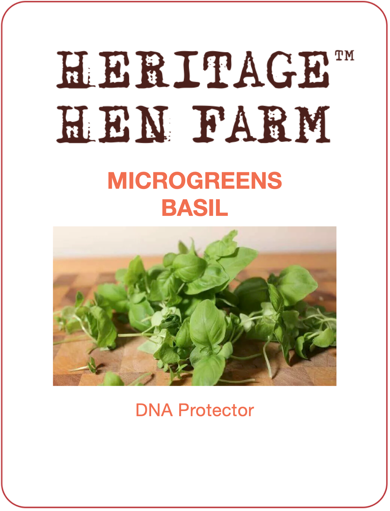 MicroGreens Basil