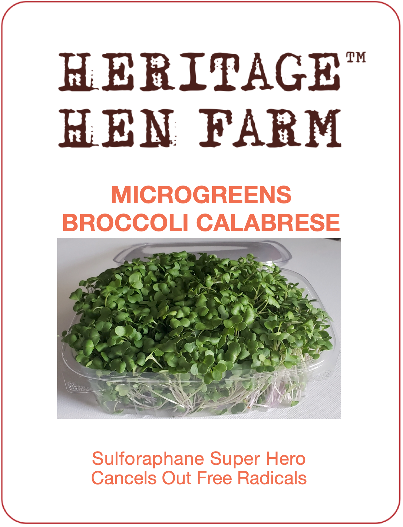 MicroGreens Broccoli