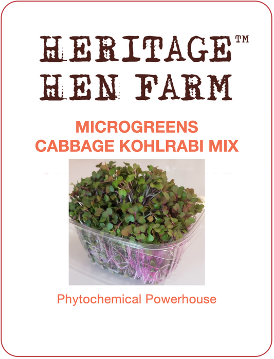 Mix Cabbage Kohlrabi MicroGreens