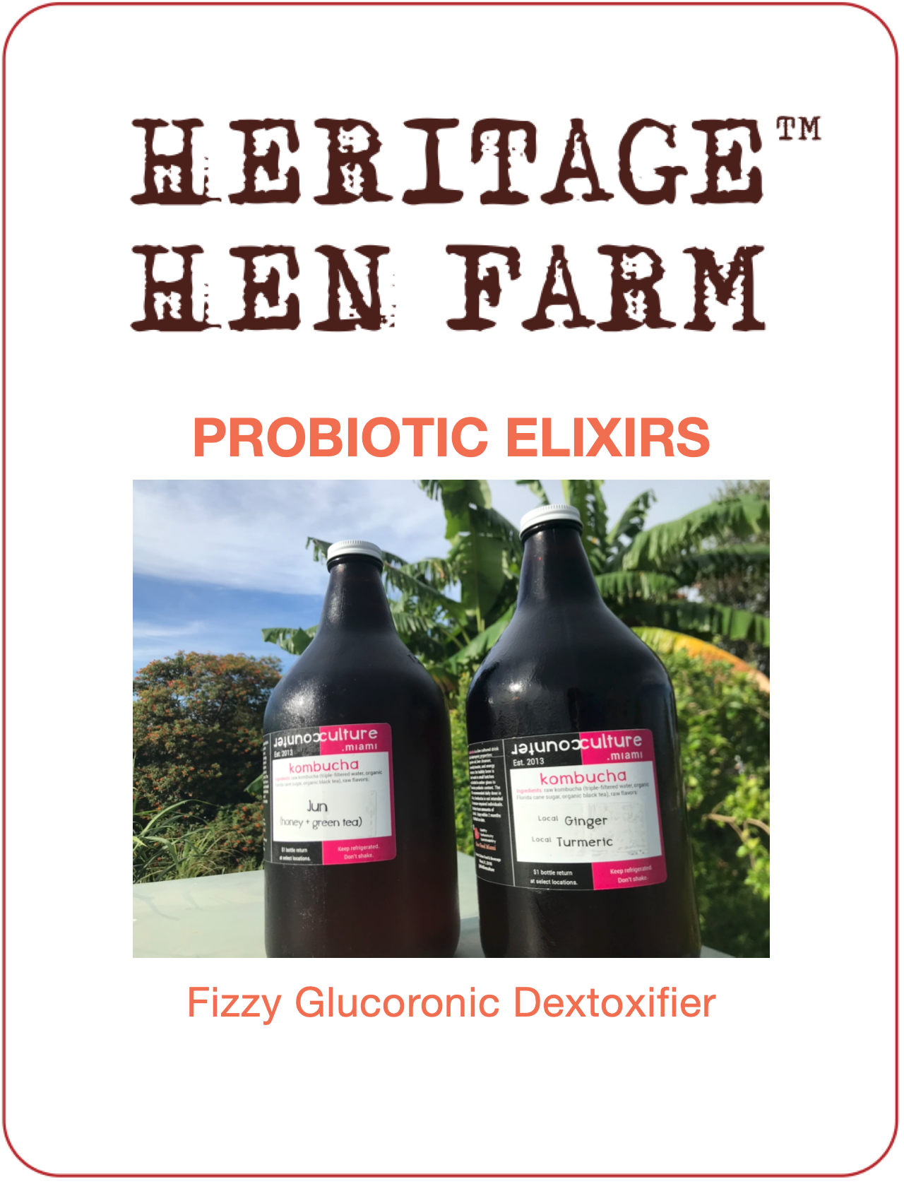 Probiotic Elixirs